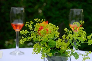 Aktiv Schweiger מלון